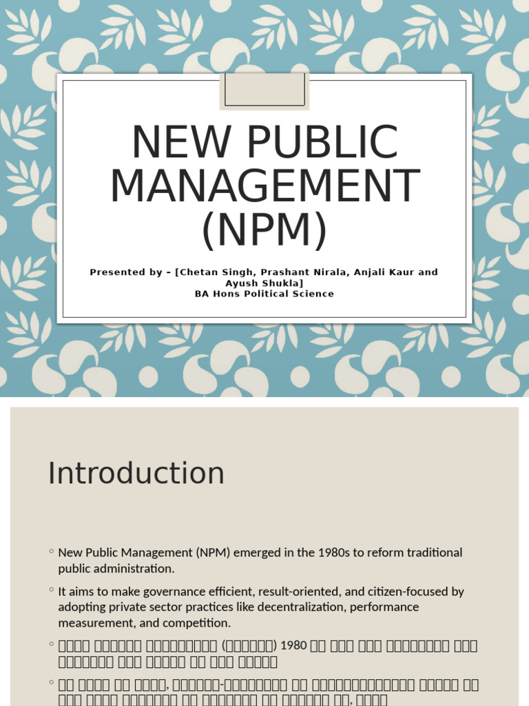 New Public Management | PDF