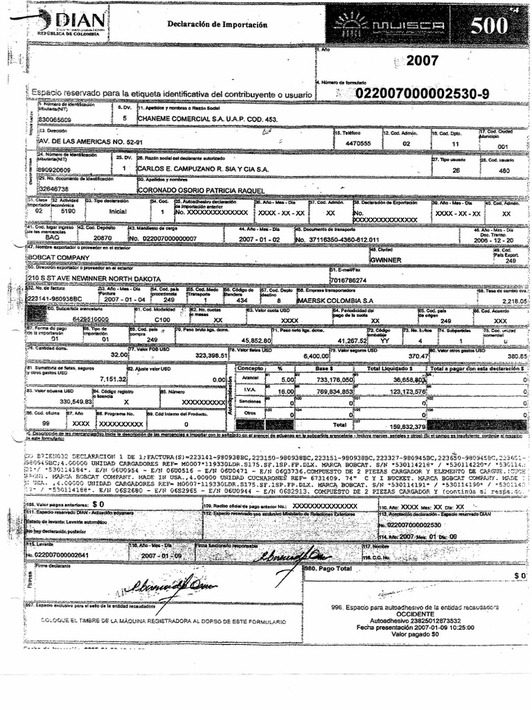 Declaracion De Importacion 1 Pdf