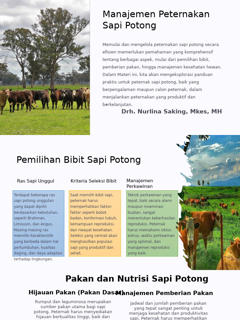 Manajemen Peternakan Sapi Potong | PDF