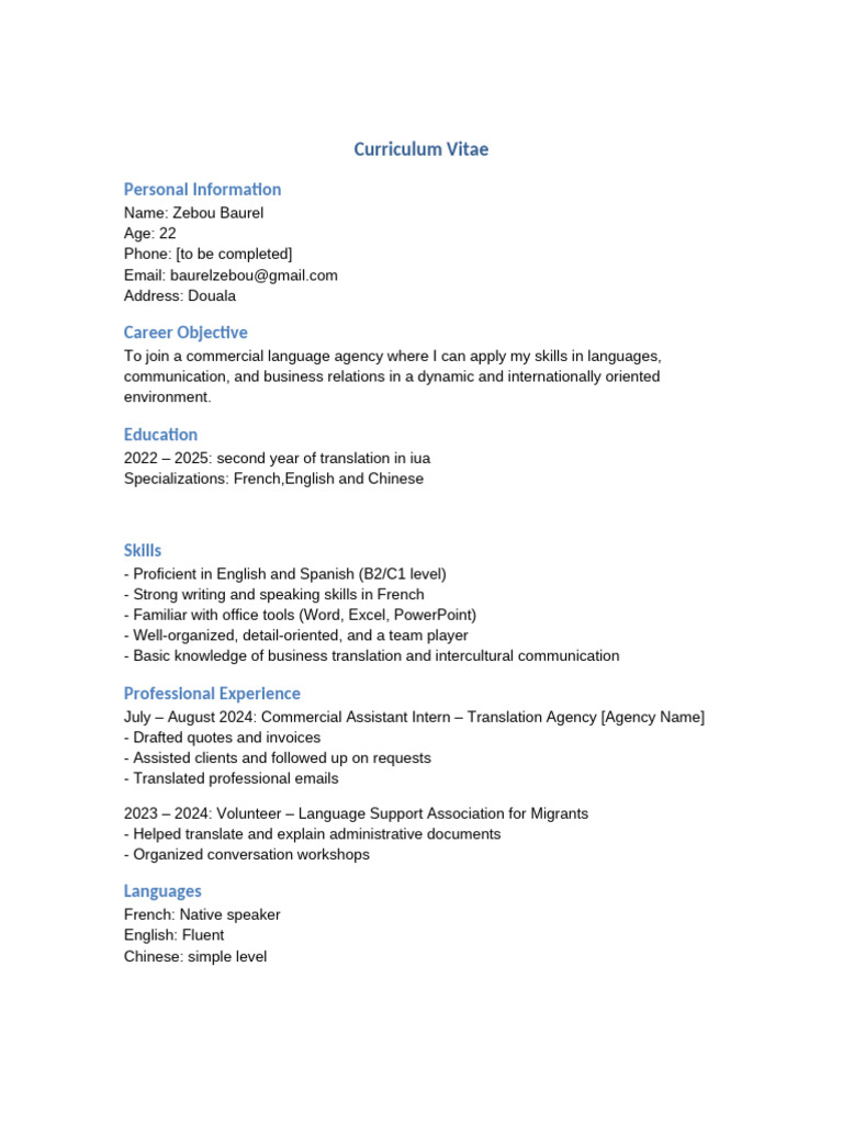 CV Zebou Baurel en | PDF