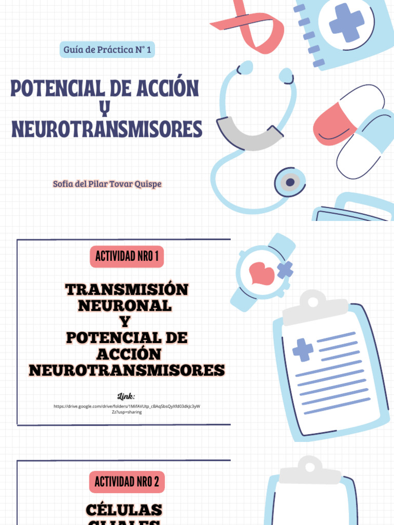 Potencial de Acción y Neurotransmisores | PDF | Sinapsis | Potencial de ...