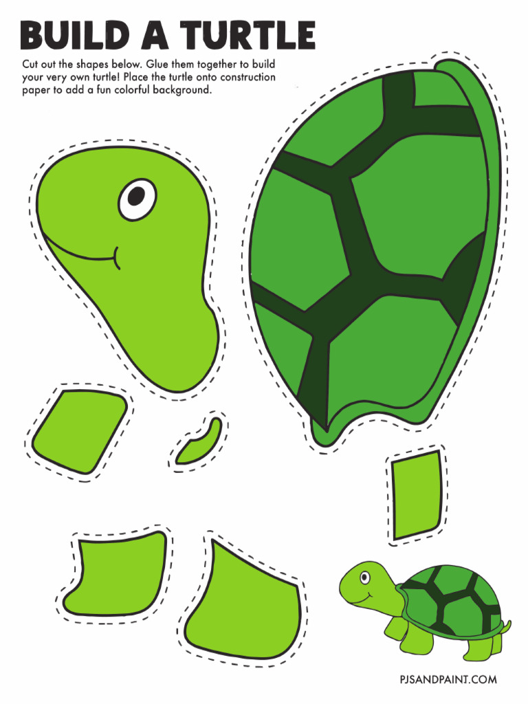 Build A Turtle | PDF