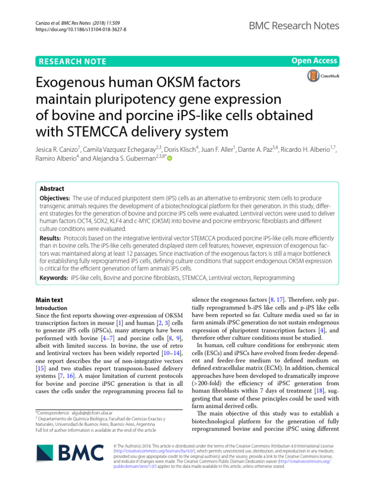 Canizo 2018 Exogenous Human Oksm Factors Mainta | PDF | Cell Potency ...