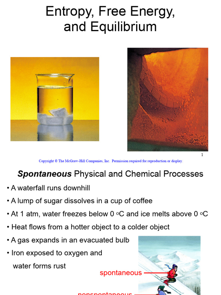 Entropy and Free Energy in Reactions | PDF | Gibbs Free Energy | Entropy
