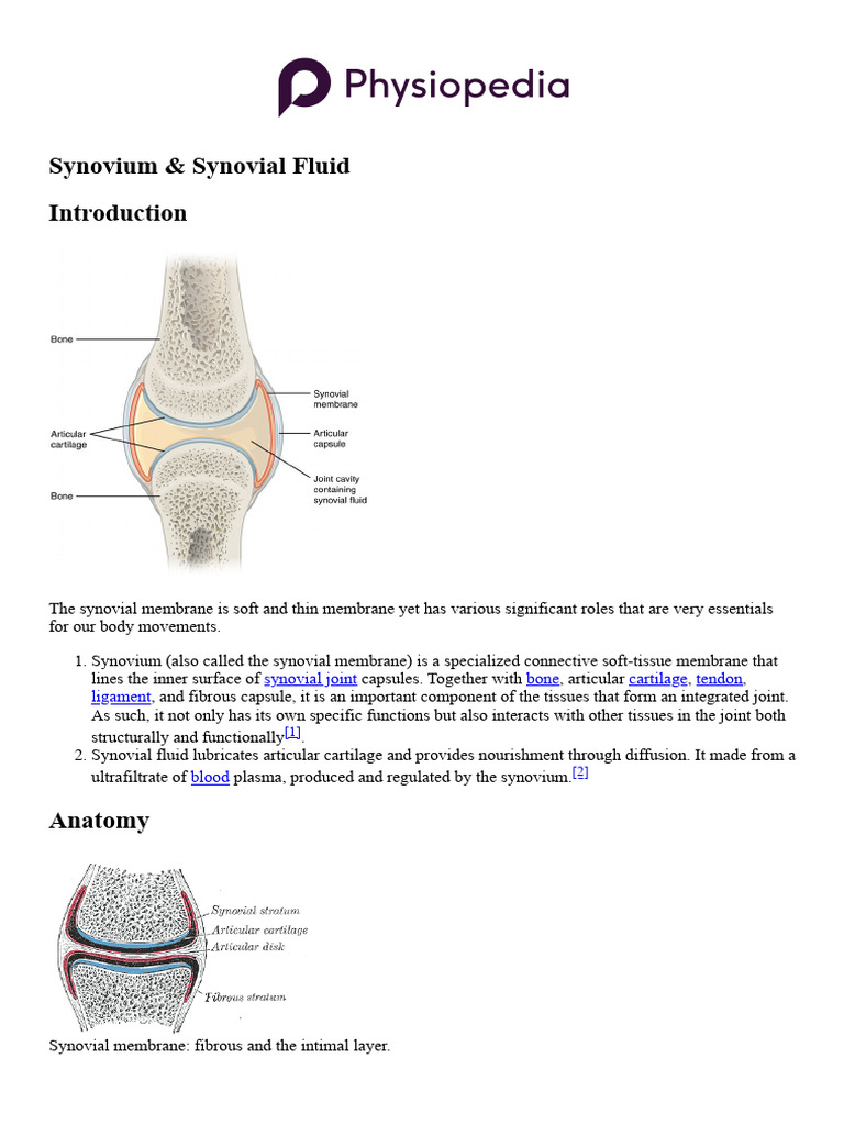 Synovium & Synovial Fluid | PDF | Extracellular Matrix | Connective Tissue