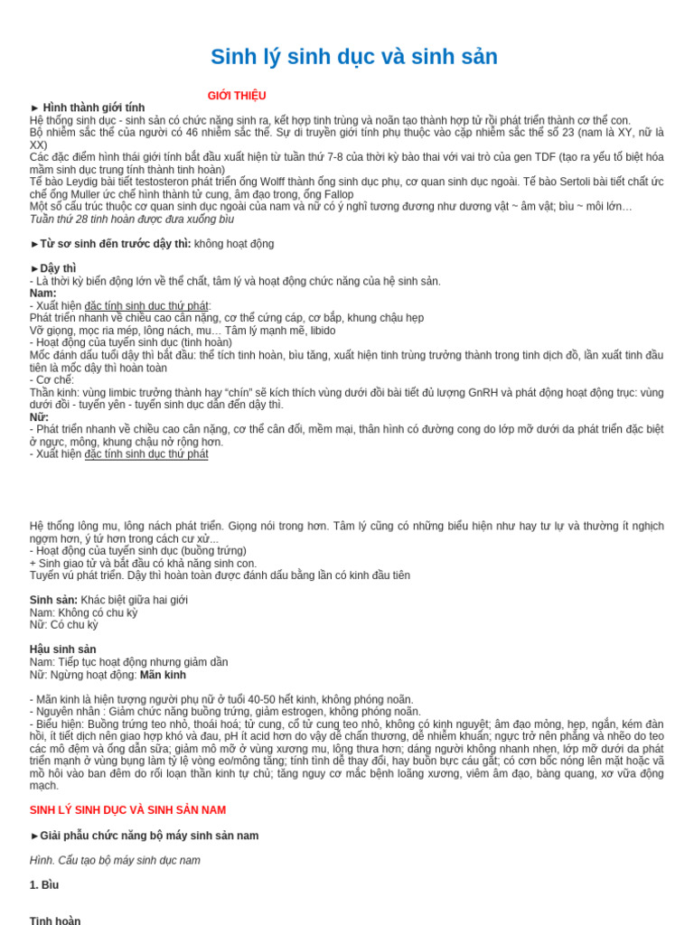 Sinh Lý | PDF