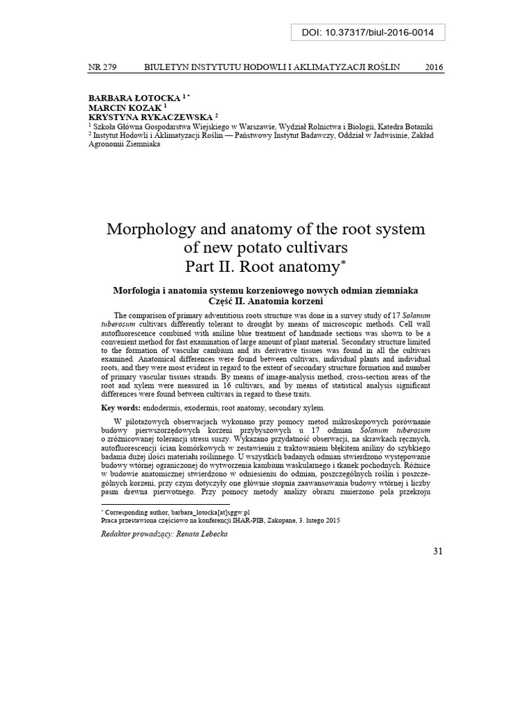 Morphology and Anatomy of The Root | PDF | Potato | Adobe Photoshop