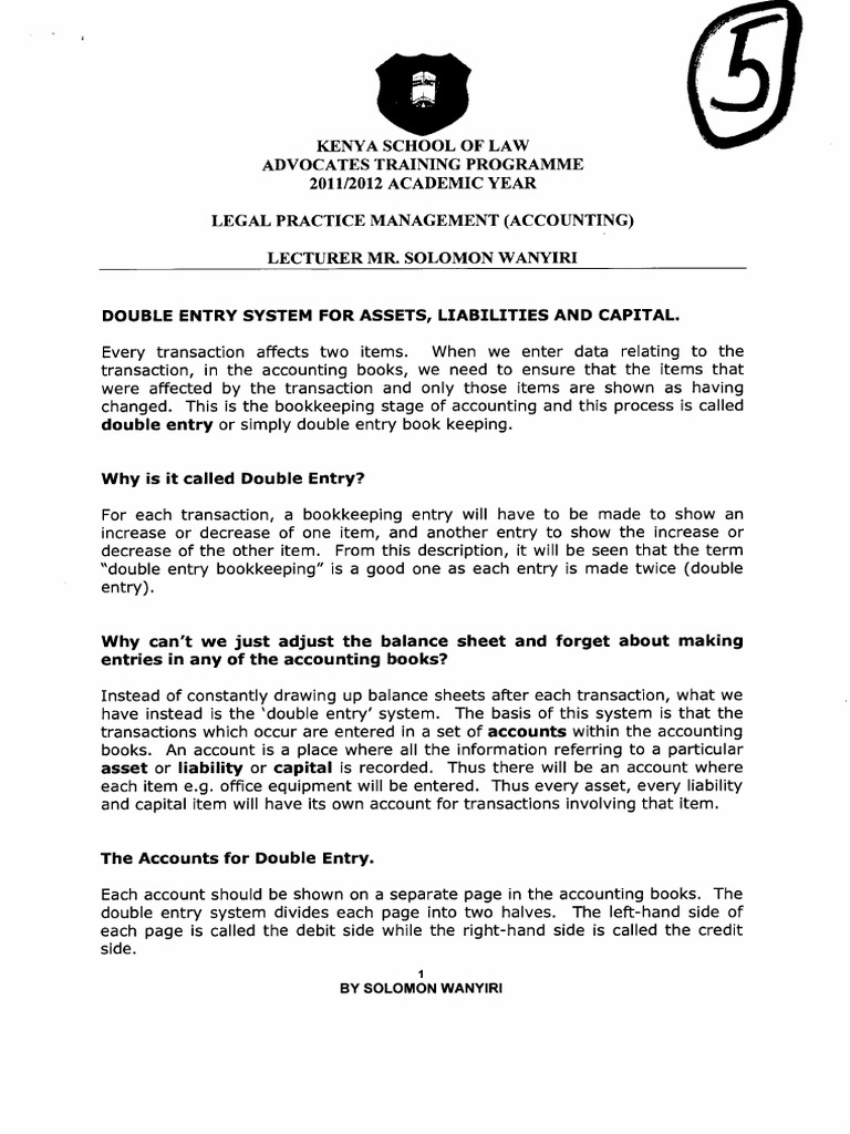 Double Entry Systems For Assets, Liabilities and Capital | PDF