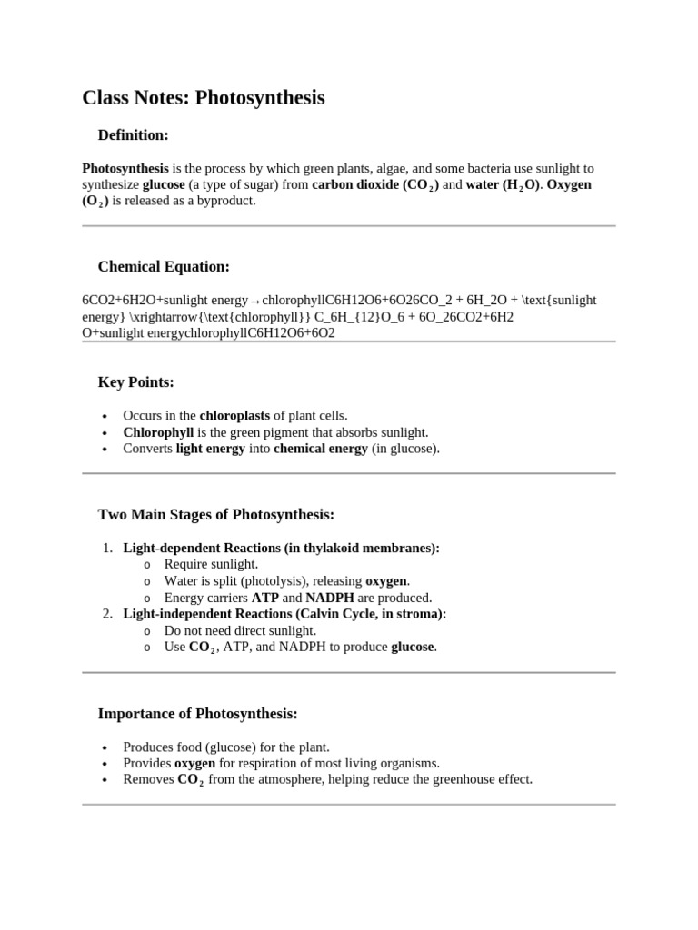 Understanding Photosynthesis Process | PDF | Photosynthesis | Chloroplast