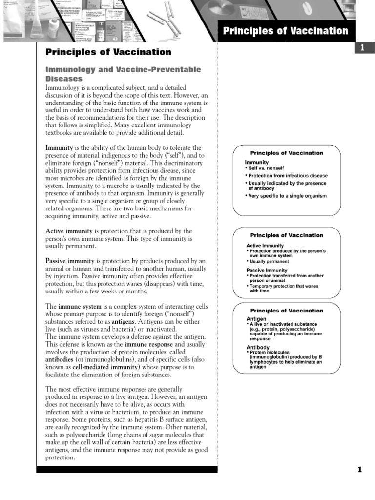 Principles of Vaccination Explained | PDF | Vaccines | Immune System