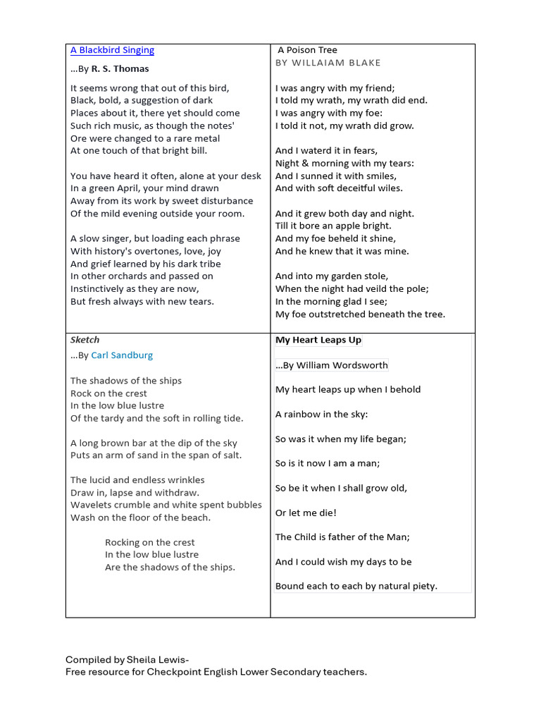 Essential Poetic Devices for Teachers | PDF | Poetry | Metaphor