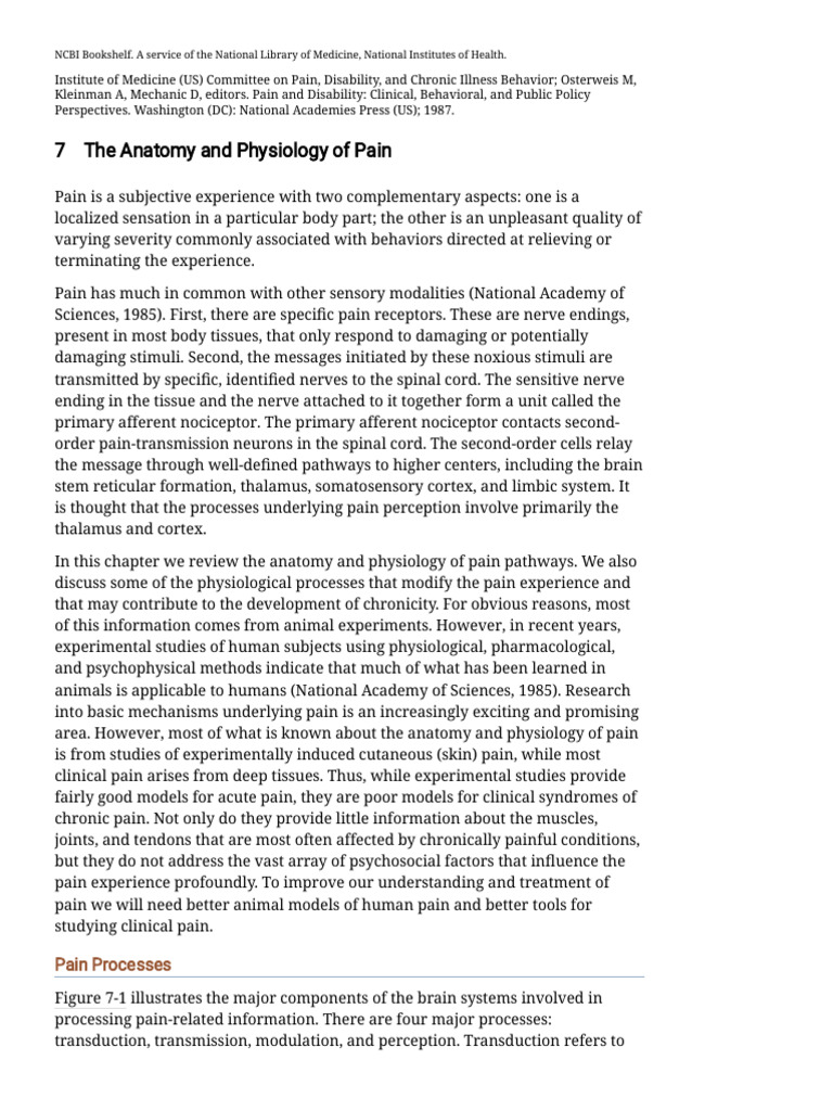 Anatomy and Physiology of Pain | PDF | Pain | Thalamus