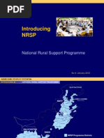 NRSP Standard Presentation January 2012