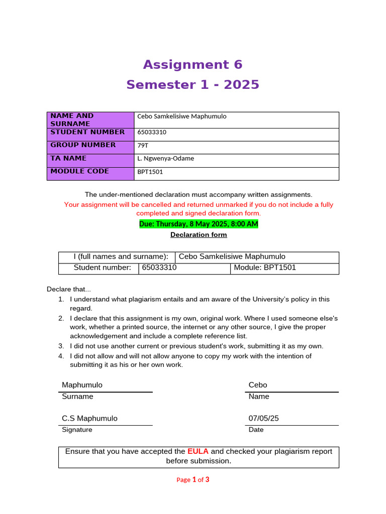 Assignment Submission Declaration 2025 | PDF