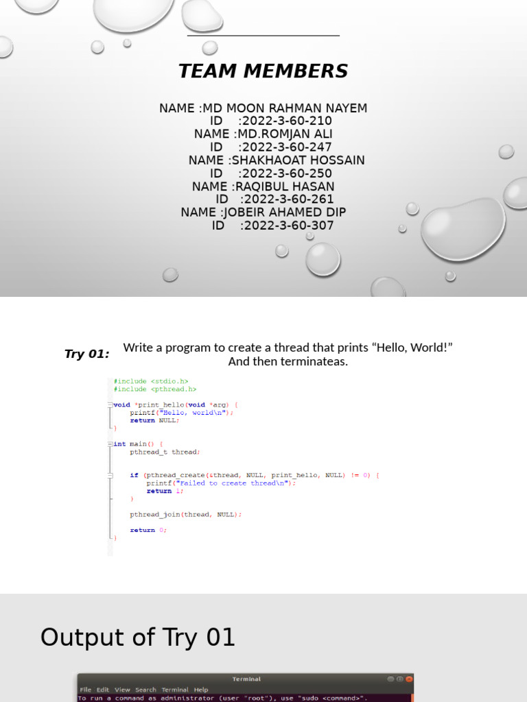 Team Members and Thread Programming Tasks | PDF
