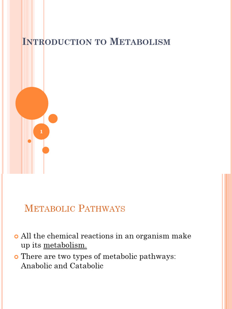 Introduction - To - Metabolism 1 | PDF | Enzyme | Enzyme Inhibitor