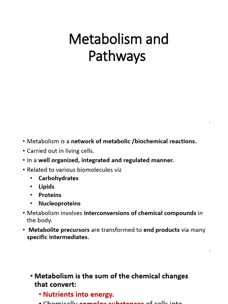 Understanding Metabolism and Pathways | PDF | Metabolic Pathway ...