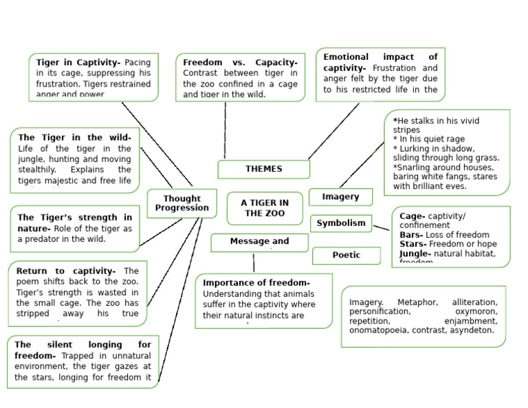 Mind Map: A Tiger in the Zoo | PDF | Tiger | Zoo