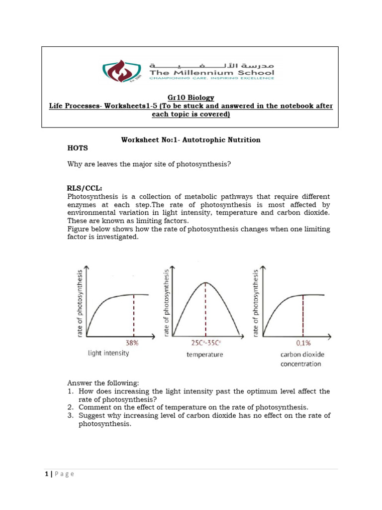 Gr10 Biology Life Processes Worksheets | PDF | Glycogen | Photosynthesis