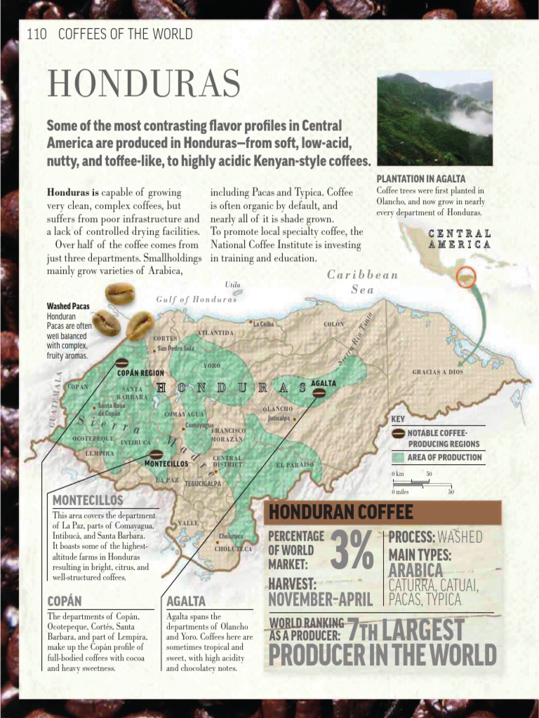 Coffee - Obsession 112 134 | PDF | Coffee | Honduras