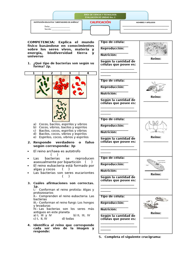 Examen Reino Monera Protista y Fungi | PDF | Las bacterias | Ciencias de la  vida