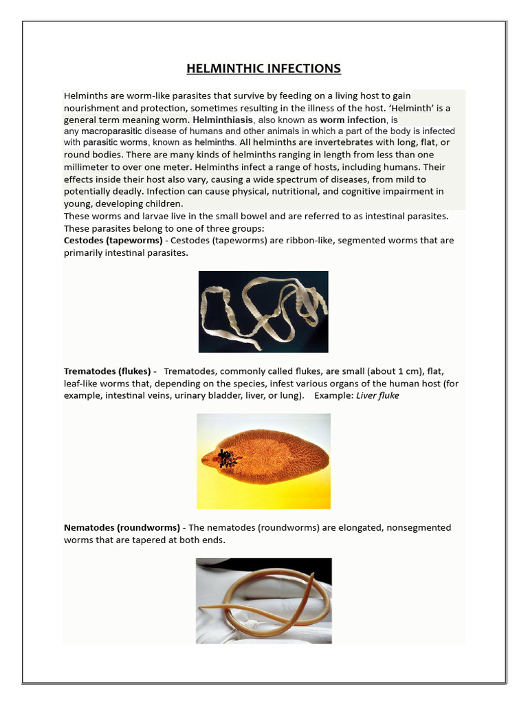 Helminthic Infections 1 | PDF | Nematode | Reproductive System