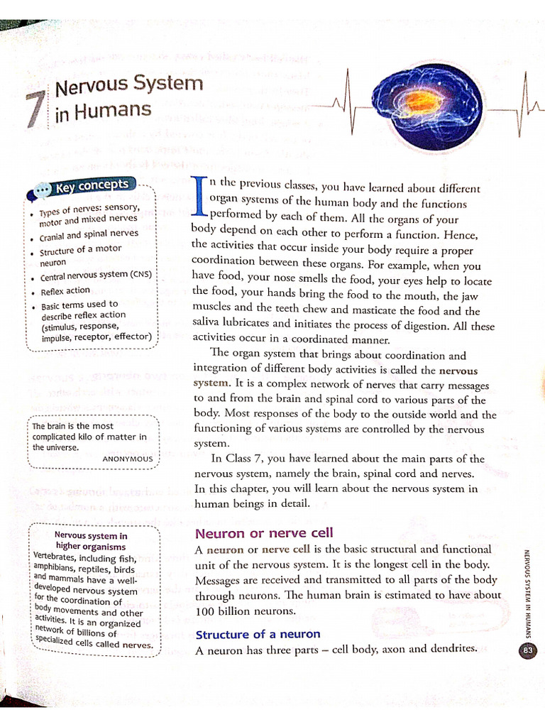CH 7 Bio | PDF