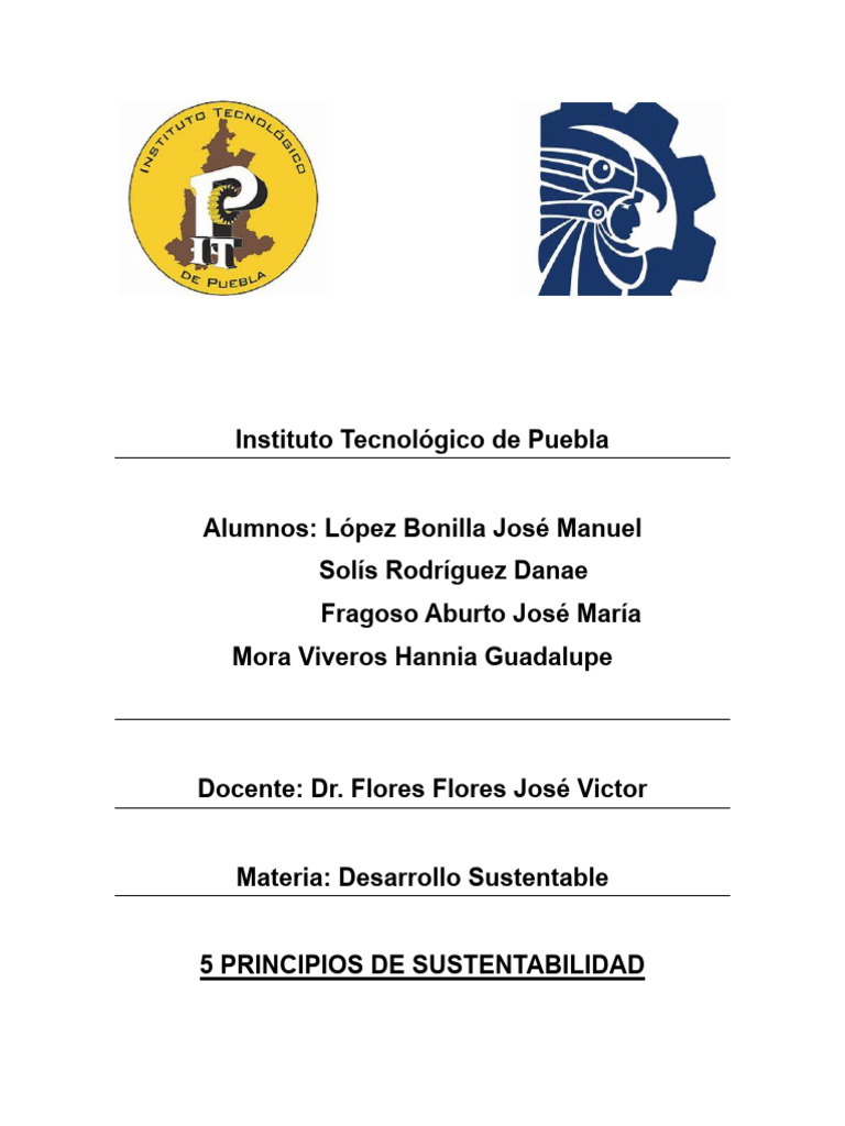 5 Principios Clave de la Sustentabilidad | PDF | Sustentabilidad ...