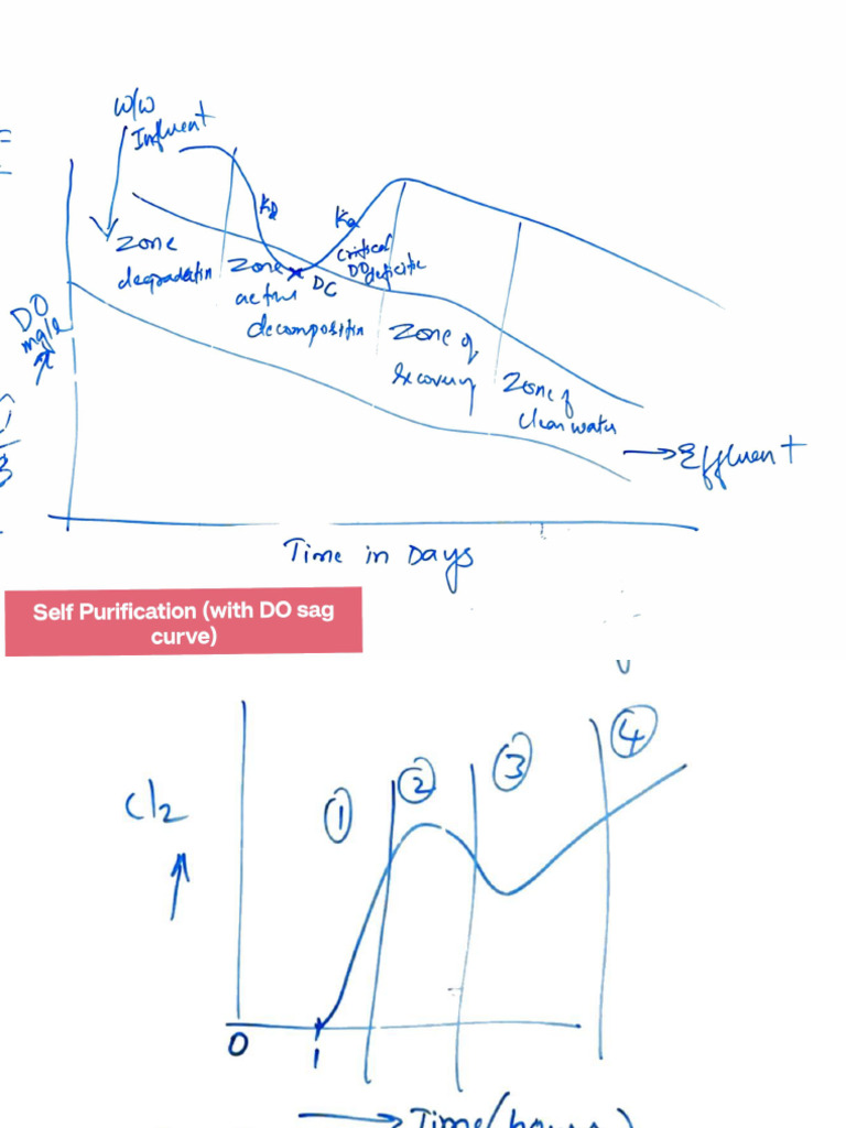 Graph by Rabbi Ma'am | PDF