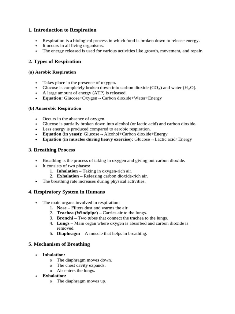 Types and Importance of Respiration | PDF | Cellular Respiration ...