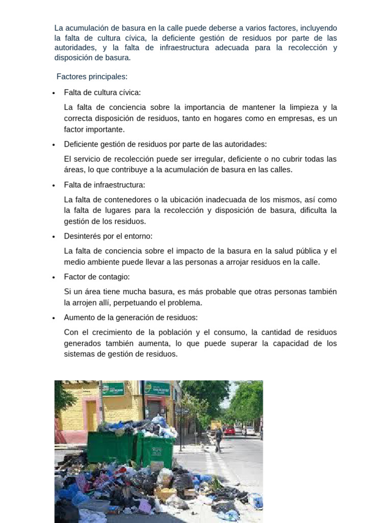La Acumulación de Basura en La Calle Puede Deberse A Varios Factores | PDF