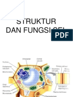 Struktur Dan Fungsi Sel