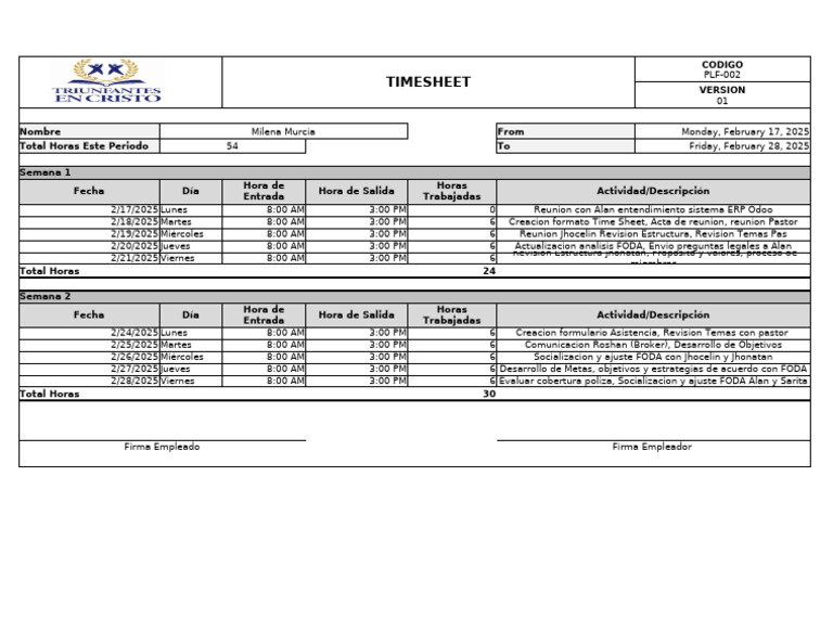 PLF-002 Timesheet Week 3 y 4 | PDF