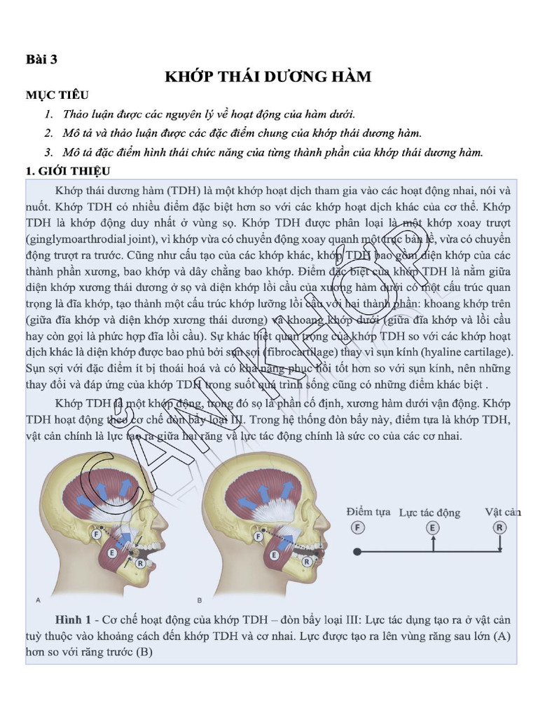 B3. Khớp TDH EL | PDF