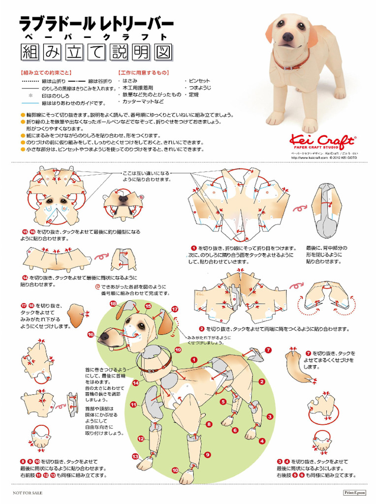 Labrador Retriever Inst | PDF