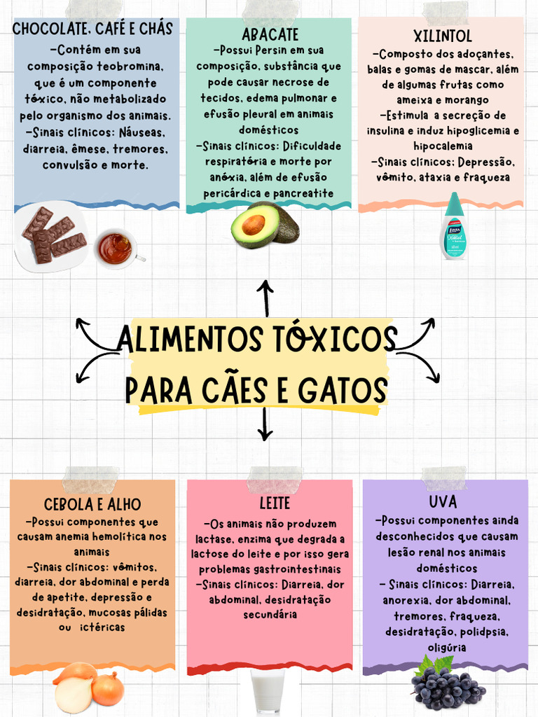 Alimentos Tóxicos para Cães e Gatos | PDF
