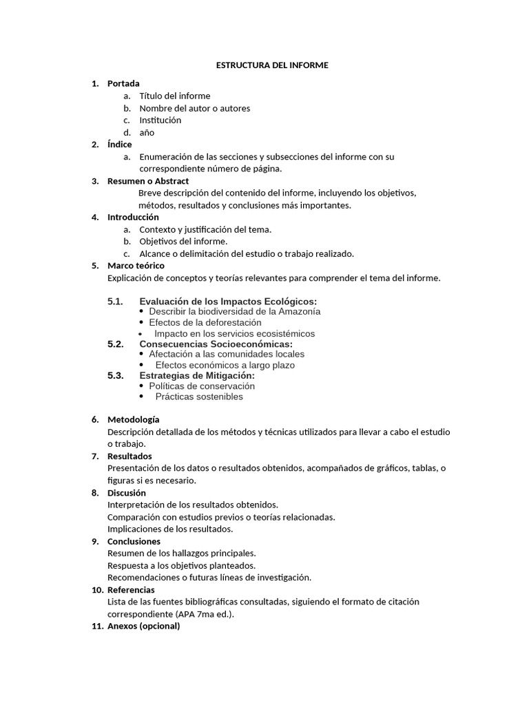 estructura-del-informe-pdf