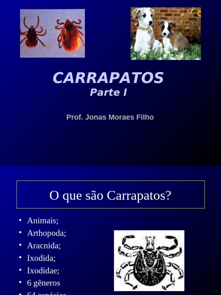 Aula 3 Carrapatos Parte I | PDF | Zoologia