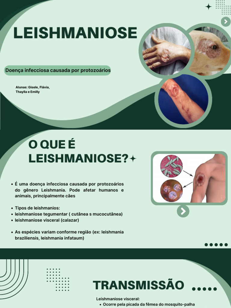 Leishmaniose: Tipos, Transmissão e Tratamento | PDF