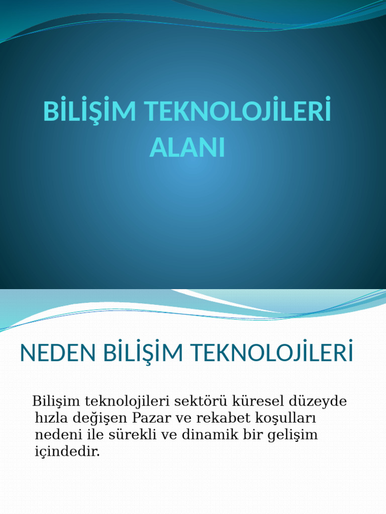 Bi̇li̇şi̇m Teknoloji̇leri̇ Alani | PDF