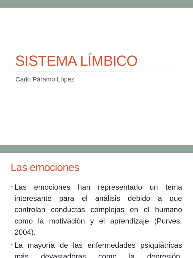 Limbico 1 | PDF | Las emociones | Sistema límbico