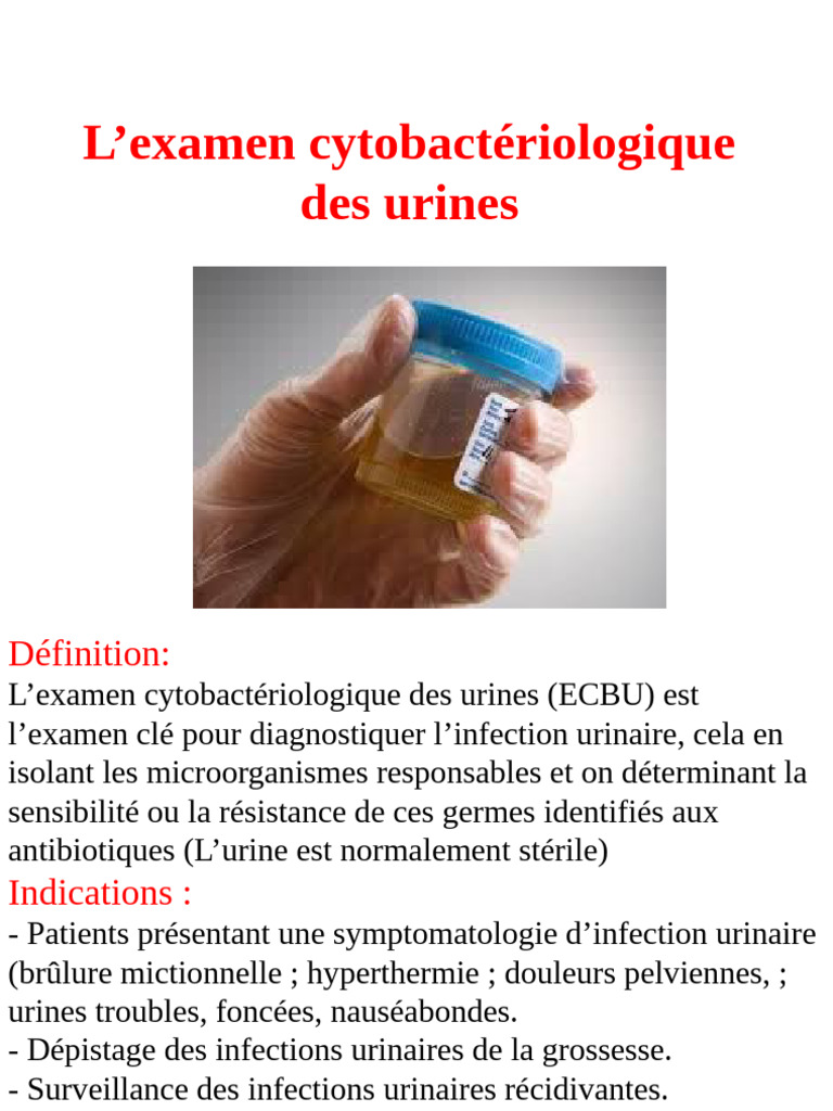 ECBU | PDF | Catalase | Infection urinaire