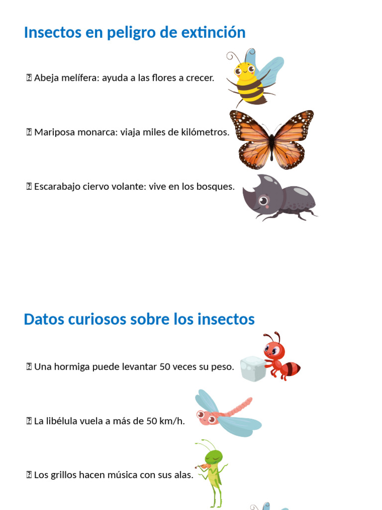 Presentacion_Insectos_8_anios | PDF