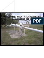 Seguridad Industrial en La Industria Del Gas Natural