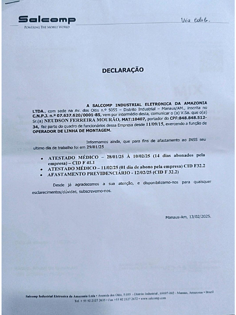 PDF Declaração Salcomp | PDF