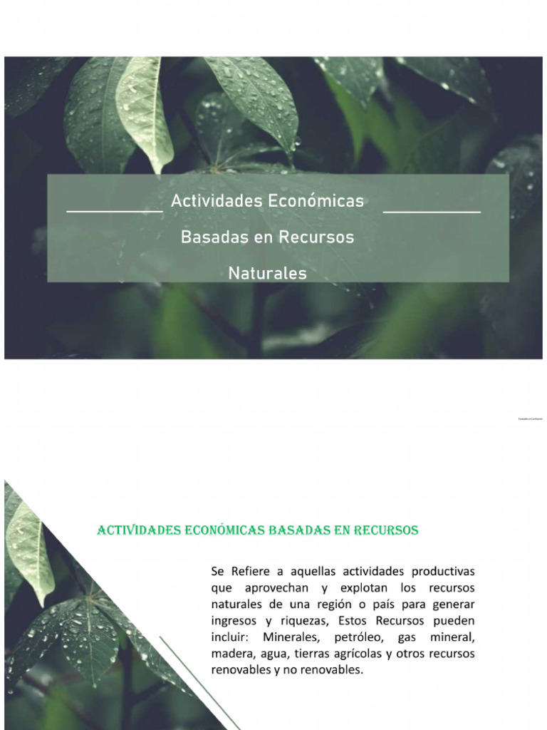 Actividades Económicas Basadas en Recursos Naturales | PDF