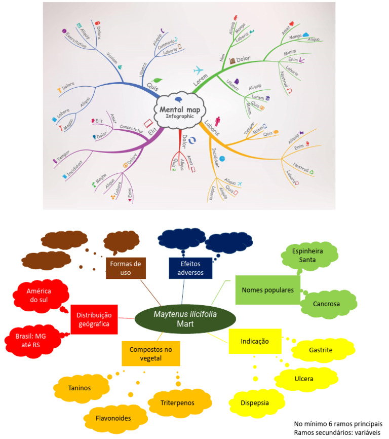 Cópia de Exemplo de Mapa Mental | PDF