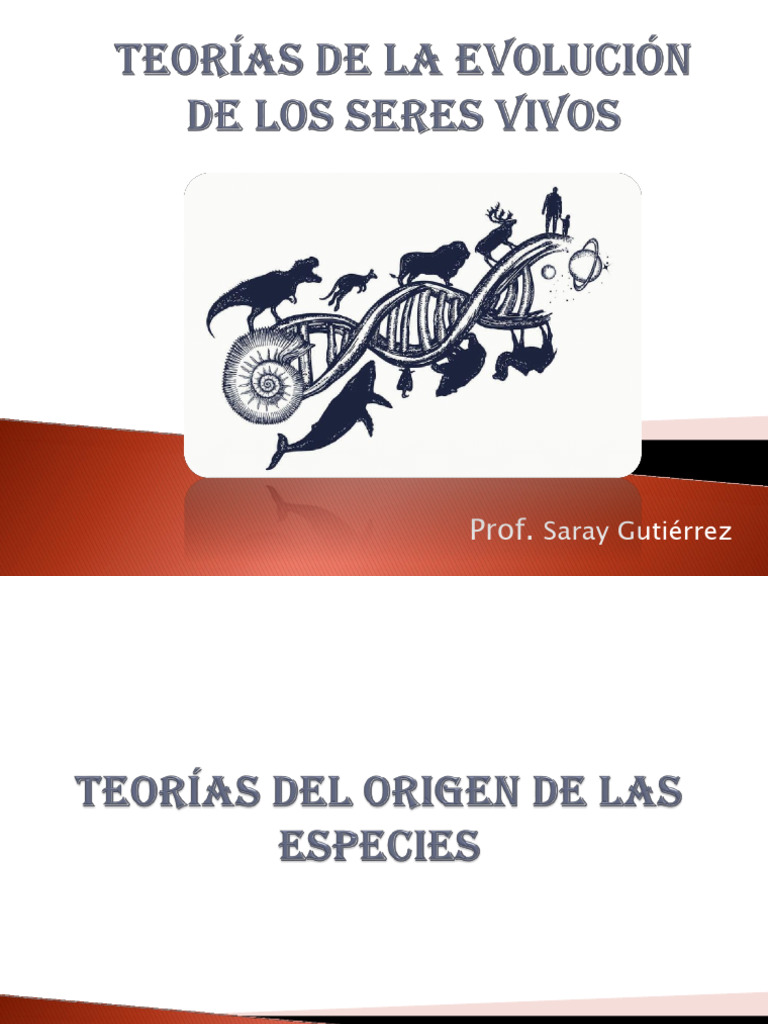 Teorías de la Evolución y sus Fundamentos | PDF | Evolución | Seleccion ...