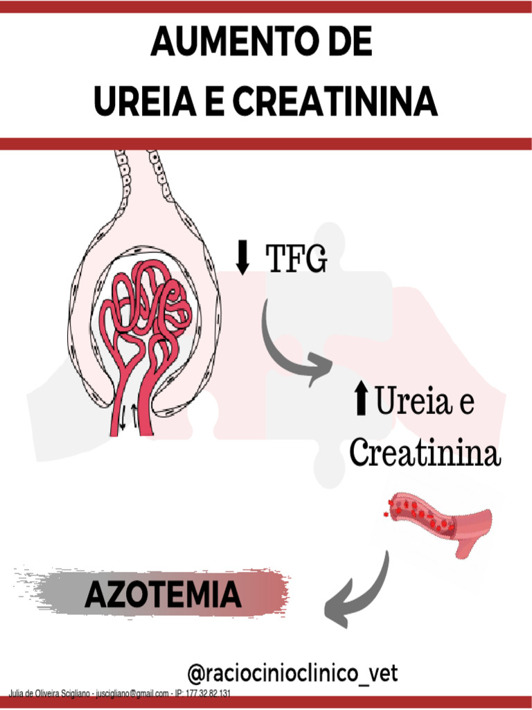 Aumento de Ureia e Creatinina | PDF