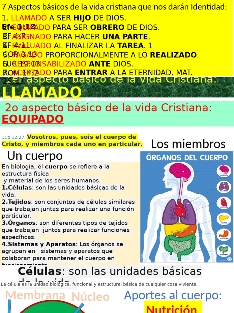 2o Aspecto Básico de La Vida Cristiana | PDF | Verbo | Cristo (título)